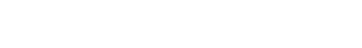 Internet News Media
